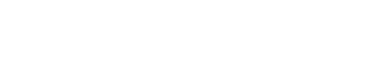 Netsportique